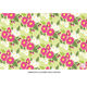 Lillian Floral Bright Placemats Image 2 of 2